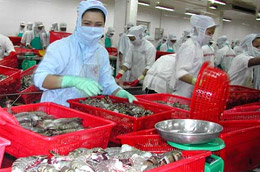 Thủy sản và công nghiệp chế biến cũng thuộc diện được hỗ trợ lãi suất 2%.