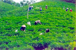 Một trong những mục tiêu của ADB là hỗ trợ xóa đói giảm nghèo.