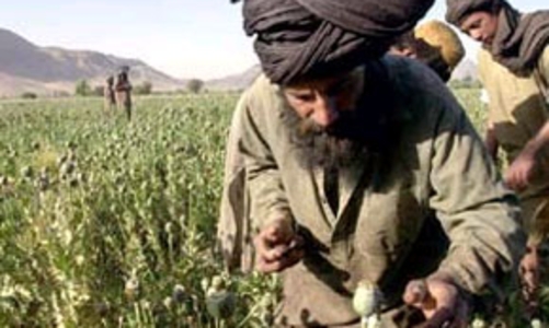 WB kêu gọi đổi mới ngành nông nghiệp để giảm nghèo