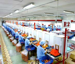 Thương hiệu sản phẩm đủ điều kiện sẽ được gắn biểu trưng của Thương hiệu Quốc gia (Vietnam Value) - Ảnh: Việt Tuấn.