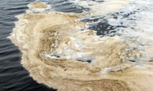 Chuyện Vedan, niềm tin, và hàng Việt 