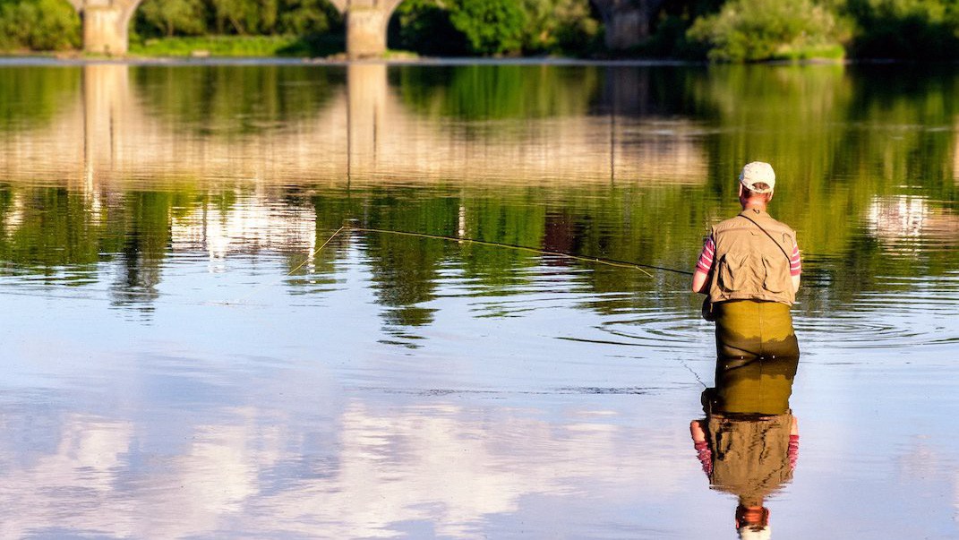 undefined - Ảnh 8.