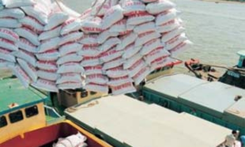 Giá gạo tiếp tục giảm nhanh