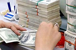 Theo báo cáo của Chính phủ, thâm hụt cán cân thanh toán quốc tế là "nguyên nhân chủ yếu tác động đến cung cầu và tỷ giá tăng lên".