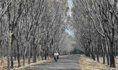 HAGL công bố lãi 915,68 tỷ đồng trong 6 tháng đầu năm