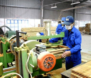 Xét về quy mô công nghệ, Gỗ Thuận An là một trong số những công ty hàng đầu tại Việt Nam.