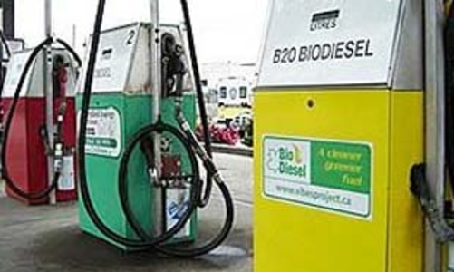 Nhiên liệu sinh học đang được chú ý