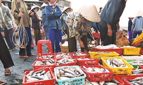 Siết chặt an toàn vệ sinh thực phẩm