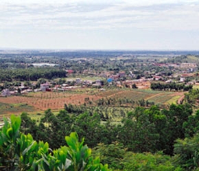 Cổ phần hóa nông, lâm trường gặp khó khăn đang kéo chậm kế hoạch cổ phần hóa của Bộ Nông nghiệp và Phát triển nông thôn.