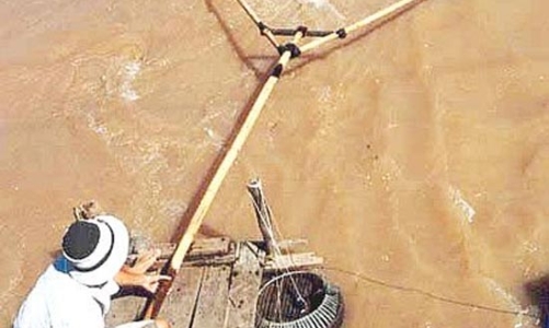 Con cá hay đập thủy điện?