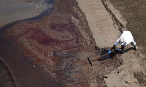 BP bị đồn phá sản do sự cố tràn dầu