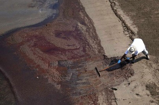 Một công nhân đang nỗ lực dọn dẹp dầu tràn bên bờ Vịnh Mexico. Cho tới thời điểm hiện nay, BP đã phải chi 1,25 tỷ USD để làm sạch dầu tràn - Ảnh: Reuters.