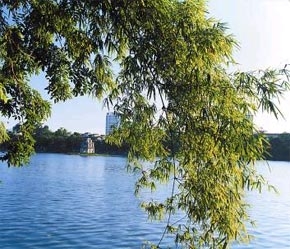 Bảo vệ môi trường là một trong những nội dung của Chương trình Viện trợ Xanh.