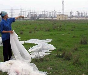 Nghị định mới ban hành thúc đẩy việc cấp Giấy chứng nhận quyền sử dụng đất.