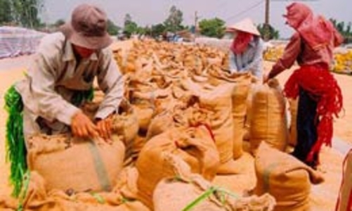 26 kiến nghị của cử tri từ kỳ họp trước chưa được trả lời