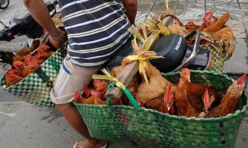 CPI tháng 9 tại Tp.HCM lại tăng tốc