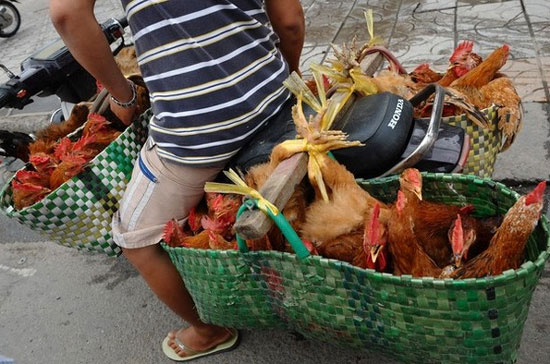 Chỉ số giá lương thực và thực phẩm tại Tp.HCM đều tăng cao hơn tháng trước - Ảnh: Getty.