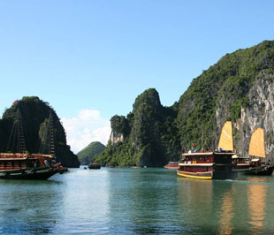 Vịnh Hạ Long giới hạn trong diện tích khoảng 1.553 km² bao gồm 1.960 hòn đảo lớn nhỏ, phần lớn là đảo đá vôi.