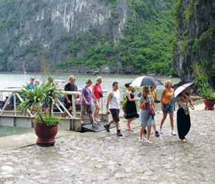 Tại hầu khắp các thị trường như ASEAN, Mỹ, Pháp... lượng khách tới Việt Nam đều giảm.