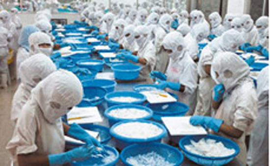 Quý 4/2010, TS4 đã ký nhiều hợp đồng với số lượng và giá trị lớn.