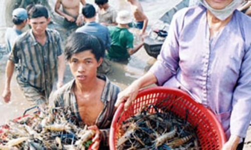 Gỡ khó cho doanh nghiệp xuất khẩu 