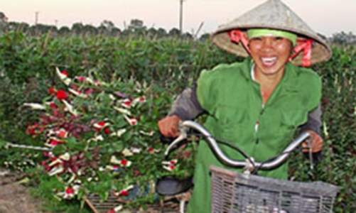 Hà Nội sau một năm mở rộng: Những dự án dang dở