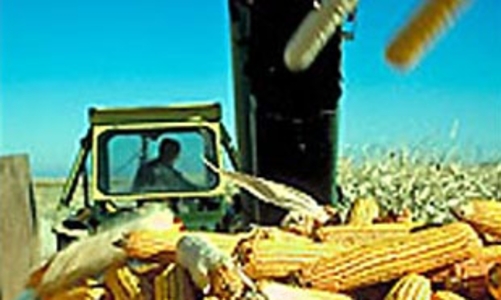 Thế giới hướng tới nhiên liệu sinh học