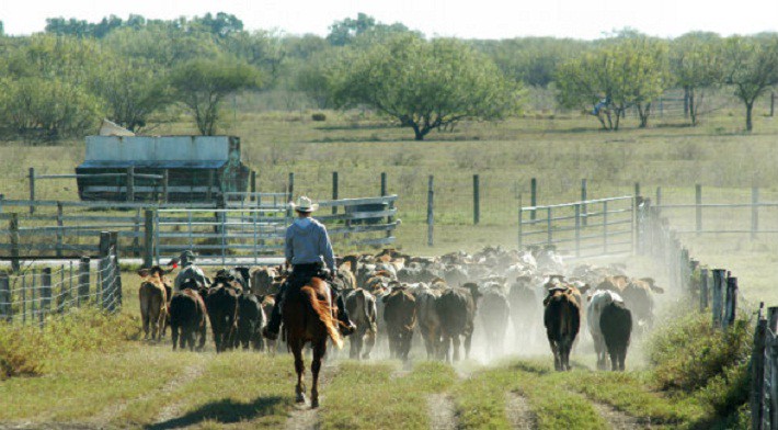 15 chủ đất lớn nhất tại Mỹ - Ảnh 9.