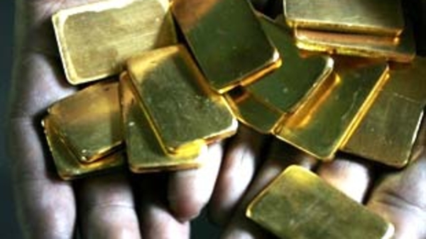Giá vàng trong nước cao chưa từng thấy