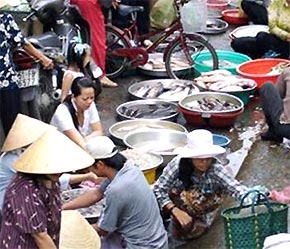 Một số mặt hàng thực phẩm sẽ được xem xét giảm thuế - Ảnh: TP.