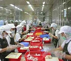 Việc gia nhập WTO được cho là sẽ mang lại nhiều cơ phát triển cho ngành thuỷ sản.