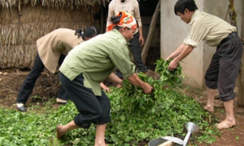 Điều chỉnh chuẩn nghèo theo CPI năm 2008