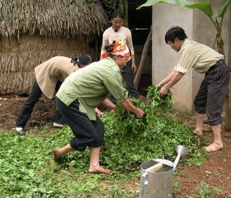 Tại khu vực nông thôn, những hộ có mức thu nhập bình quân từ 300.000 đồng/người/tháng trở xuống là hộ nghèo.