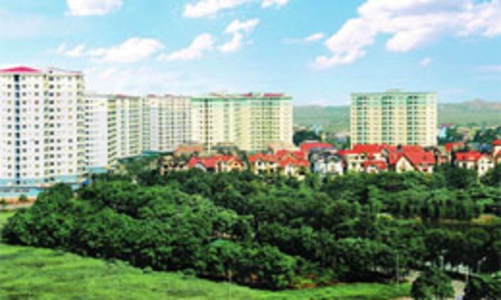 “Nên áp thuế riêng với từng trường hợp”