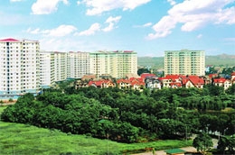 Kể từ tháng 1/2009 đến nay, Chính phủ đã có nhiều chính sách hỗ trợ và thúc đẩy sự phát triển của lĩnh vực bất động sản.