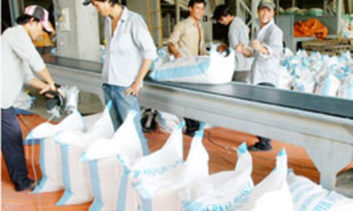 Xuất khẩu gạo năm 2011 sẽ giảm?