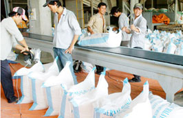 Kết thúc năm 2010, Việt Nam xuất khẩu được khoảng 6,8 triệu tấn gạo