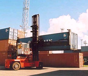 Tổng kim ngạch nhập khẩu năm 2007 ước đạt 59 tỷ USD, tăng 31% so với năm 2006.