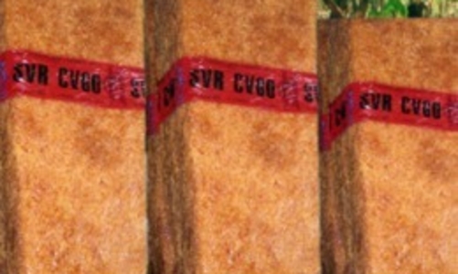 TRC: Lợi nhuận quý 3/2010 tăng 73% so với cùng kỳ do giá cao su tăng mạnh