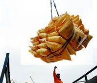 Tại Việt Nam, giá gạo cũng vững do nhu cầu tăng mạnh từ các nhà xuất khẩu.