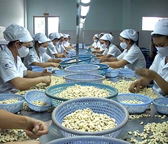 Thị trường xuất khẩu chủ yếu trong 5 tháng qua là châu Á, chiếm tỷ trọng hơn 50% kim ngạch do xuất khẩu dầu thô và gạo tăng mạnh.