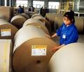 Ngành giấy Việt Nam hiện mới chỉ đáp ứng được khoảng gần 50% so với nhu cầu.