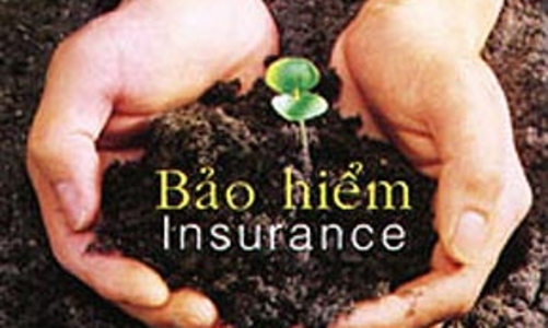 Prudential: Thị trường Việt Nam còn nhiều tiềm năng