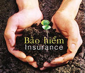 Prudential cũng là một trong những doanh nghiệp có vốn đầu tư nước ngoài đi đầu trong các hoạt động xã hội hướng về cộng đồng.