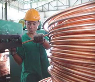 Mặt hàng dây và cáp điện được kỳ vọng sẽ là một điển hình mở rộng thị trường xuất khẩu trong năm 2009.