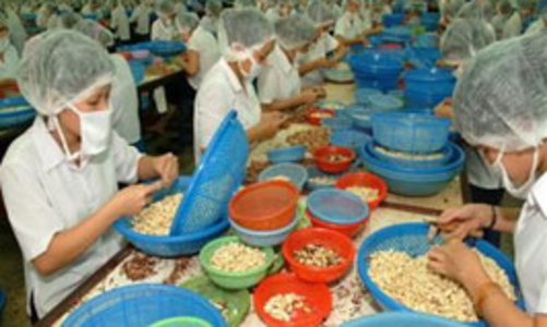 Xuất khẩu 2010: Nhiều khả năng vượt 70 tỷ USD