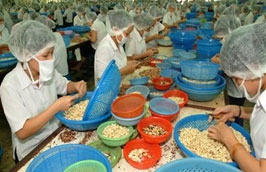 Giá các mặt hàng nông sản như hạt điều tăng mạnh đã góp phần đáng kể vào tăng kim ngạch thu về cho đất nước.