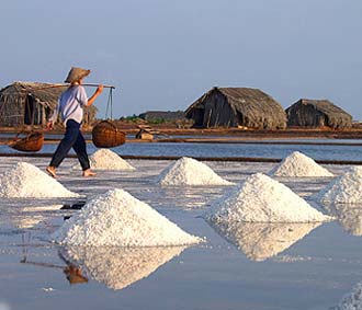 Năm nay, Việt Nam phải nhập khẩu đến 50% lượng muối ăn để phục vụ nhu cầu trong nước