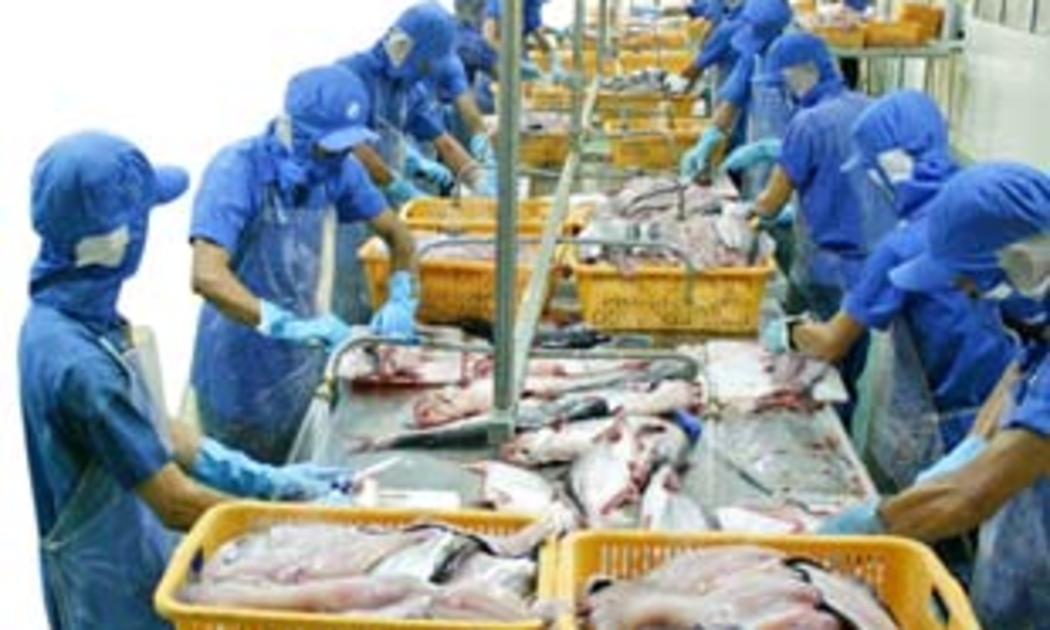 Chế biến thủy sản xuất khẩu.