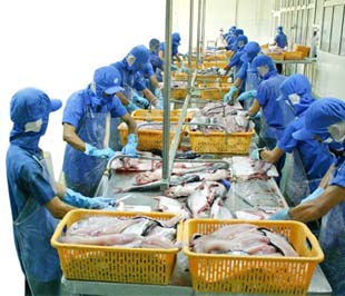 Chế biến thủy sản xuất khẩu.